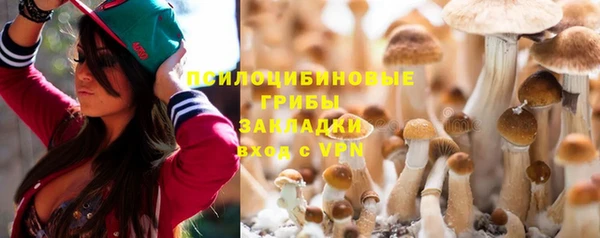 прущие грибы Аркадак