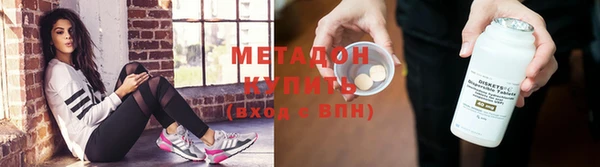 прущие грибы Аркадак