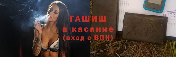 прущие грибы Аркадак