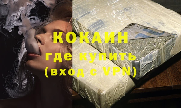 прущие грибы Аркадак