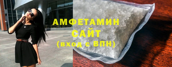 прущие грибы Аркадак