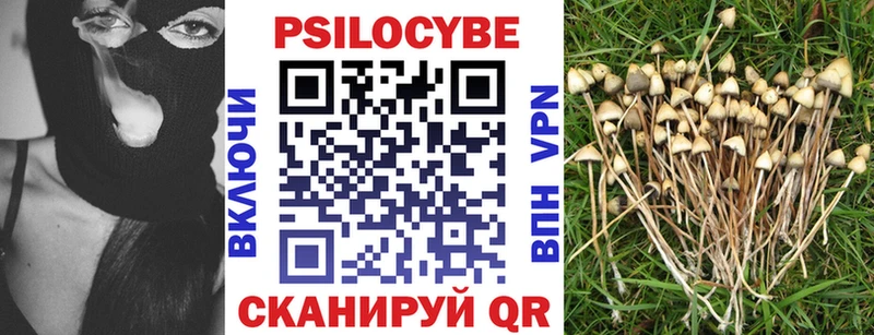 Галлюциногенные грибы Cubensis  Починок 
